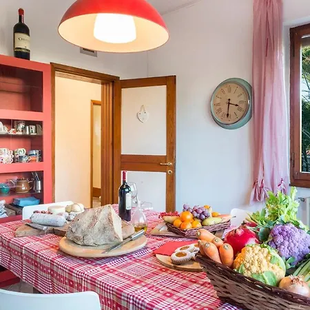 Il Renzito 8, Emma * Massa (Tuscany)
