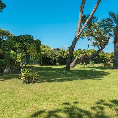 Villa Il Renzito 8, Emma Massa (Tuscany)